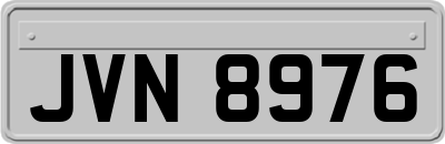 JVN8976