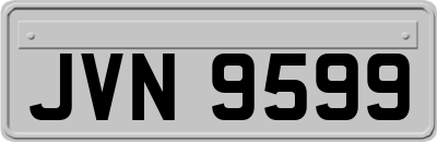 JVN9599