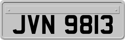 JVN9813