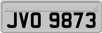 JVO9873