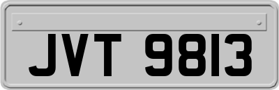 JVT9813