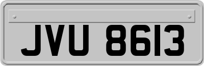 JVU8613