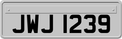 JWJ1239