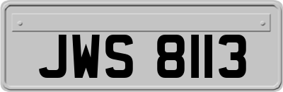 JWS8113