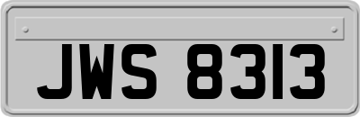 JWS8313