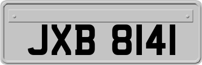 JXB8141