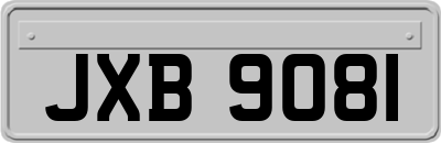 JXB9081