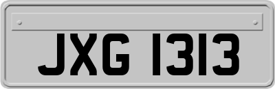 JXG1313