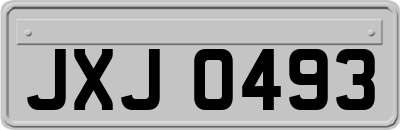 JXJ0493