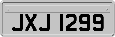 JXJ1299