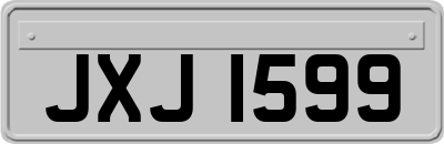 JXJ1599