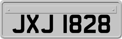 JXJ1828