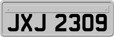 JXJ2309