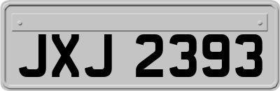 JXJ2393