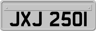 JXJ2501