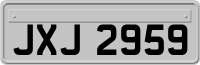 JXJ2959