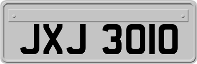 JXJ3010