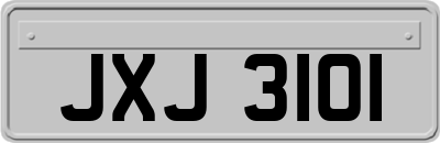 JXJ3101
