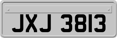 JXJ3813