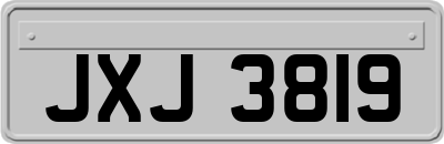 JXJ3819