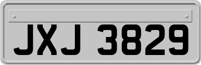 JXJ3829