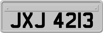 JXJ4213