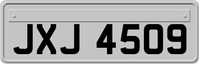 JXJ4509