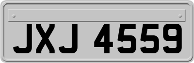 JXJ4559
