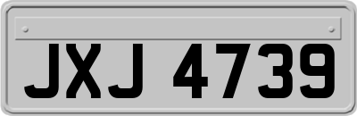 JXJ4739