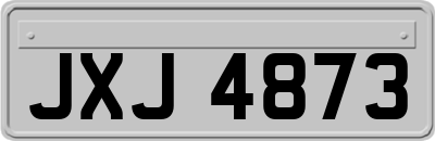 JXJ4873