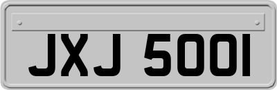 JXJ5001