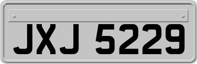 JXJ5229