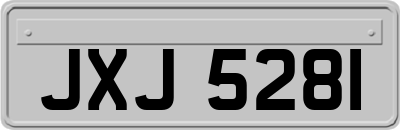 JXJ5281
