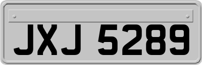 JXJ5289