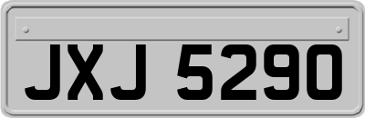JXJ5290