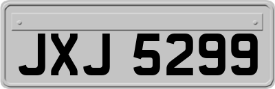 JXJ5299