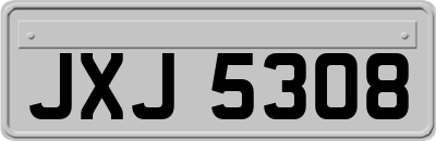 JXJ5308