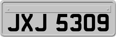 JXJ5309