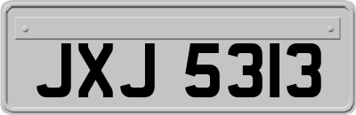 JXJ5313