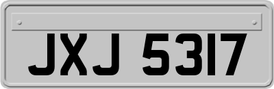 JXJ5317