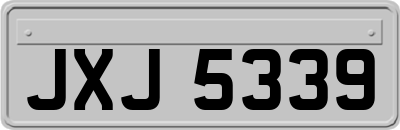 JXJ5339