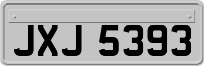 JXJ5393