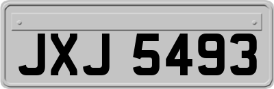 JXJ5493