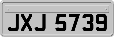 JXJ5739