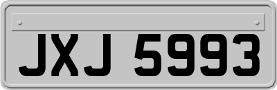 JXJ5993