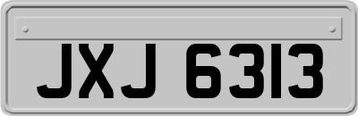 JXJ6313