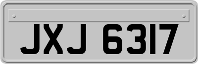 JXJ6317