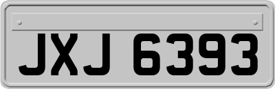 JXJ6393