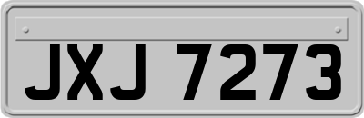 JXJ7273