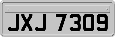 JXJ7309